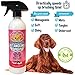 Bodhi Dog Detangling Spray - Fur & Hair Detangler Spray for Dogs & Cats - Easily Removes Mats, Tangles & Knots - Pet Grooming Essentials - Made in USA - Fresh Apple (17 Fl Oz)
