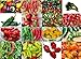PLEASE READ! THIS IS A MIX!!! 30+ ORGANICALLY GROWN Hot Pepper Mix Seeds, 16 Varieties Heirloom NON-GMO Habanero, Tabasco, Jalapeno, Yellow and Red Scotch Bonnet, Ship from USA
