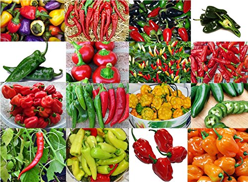 PLEASE READ! THIS IS A MIX!!! 30+ ORGANICALLY GROWN Hot Pepper Mix Seeds, 16 Varieties Heirloom NON-GMO Habanero, Tabasco, Jalapeno, Yellow and Red Scotch Bonnet, Ship from USA PLEASE READ! THIS IS A MIX!!! 30+ ORGANICALLY GROWN Hot Pepper Mix Seeds, 16 Varieties Heirloom NON-GMO Habanero, Tabasco, Jalapeno, Yellow and Red Scotch Bonnet, Ship from USA