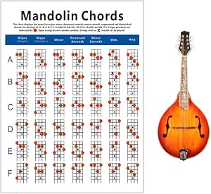 Amazon.com: Milisten Mandolina Chords - Herramienta de referencia para  principiantes (tamaño L), Como se muestra, s : Instrumentos Musicales