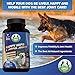 16oz Anti Chew Spray Deterrent for Dogs, No Chew Pet Training Corrector to Stop Biting | Non-Toxic | Alcohol Free | Made in USA