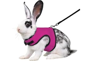 YOUALSO Hot Pink Bunny Harness and Leash, Escape Proof Rabbit Harness and Leash Set, Cute Bunnies Vest Clothes Stuff Accessories - Suit for 4-6 Months Rabbit/Ferret 6+Months Guinea Pig, L