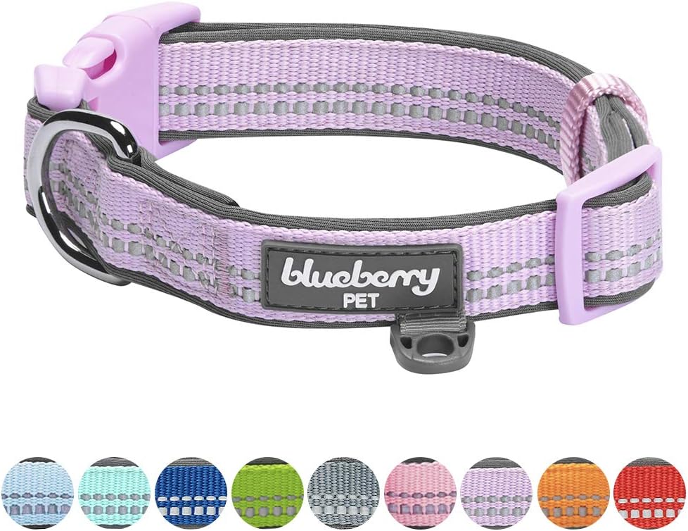 Which Is The Best Blueberry Pet 3M Reflective Multicolored Stripe Dog Harness Padded