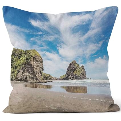 Nine City Lion Rock At Piha Beach Auckland New Zealand Home