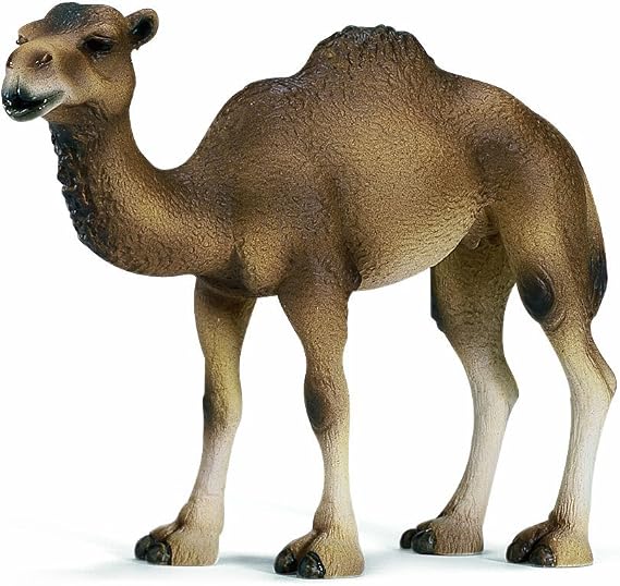 Figura De Elefante Asiático Bebé – Schleich 14343, Miniaturas De Vida Salvaje Pintadas A Mano, 12.8 Cm
