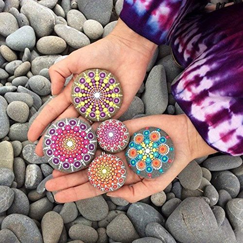 Muhuyi 14 Pieces Mandala Rock Dotting Tools Nail Art Painting Tools Set, Including 8 Sizes Flat Head Acrylic Dotting Rods, 5 Pieces Ball Stylus Dotting Pens, 1 Pieces Paint Tray - Thumbnail 5