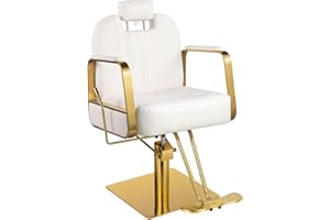 Hicomony Salon Chair for Hair Stylist, Barber Chair Hair Chair for Home Barbershop Recling, Stylist Chair Hydraulic Pump with 360° Rotation,130° Recline,All Purpose Salon Equipment