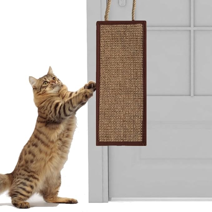 Protect Carpets And Sofas Natural Sisal Scratch Cat Pad Non Slip Cat Scratching Rug For Cat Scratching Claws And Sleeping L 40a 60cm Wovatech Cat Scratching Mat Pet Supplies Beds Bedding Furniture Selincanta Com
