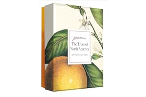 The Trees of North America: A Detailed Notes Card Set