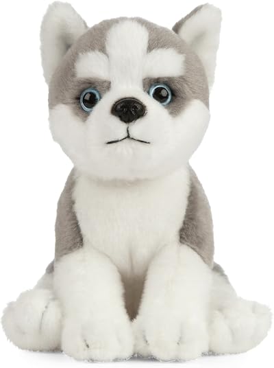 Living Nature Husky Puppy Soft Toy 16cm Educational Facts