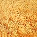 PAGISOFE Super Soft Shaggy Accent Area Rug Plush Rugs Carpets for Living Room Bedrooms Kids Nursery Home Decor Fluffy Shag Floor Carpets Silky Fuzzy Fur Rug 5x4 Feet (Orange)
