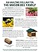 Welliver Outdoors Standard Mason Bee House