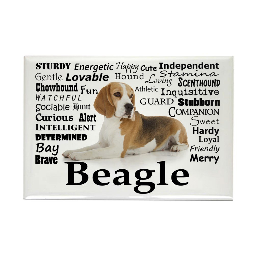 Which Is The Best Refrigerator Beagle Magnetic