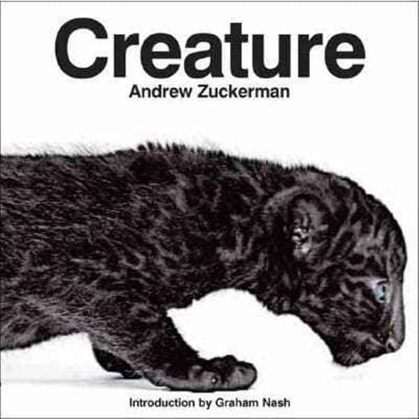 Amazon.com: Bird: 9780811870986: Zuckerman, Andrew: Books