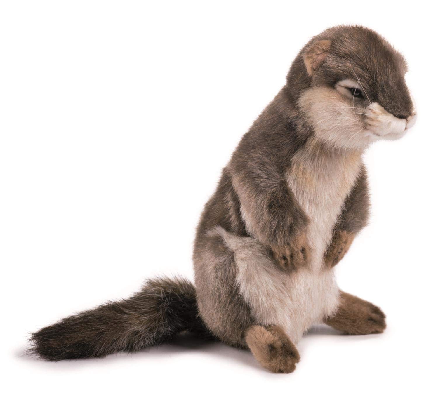 Peluche Ardilla Terrestre Hansa