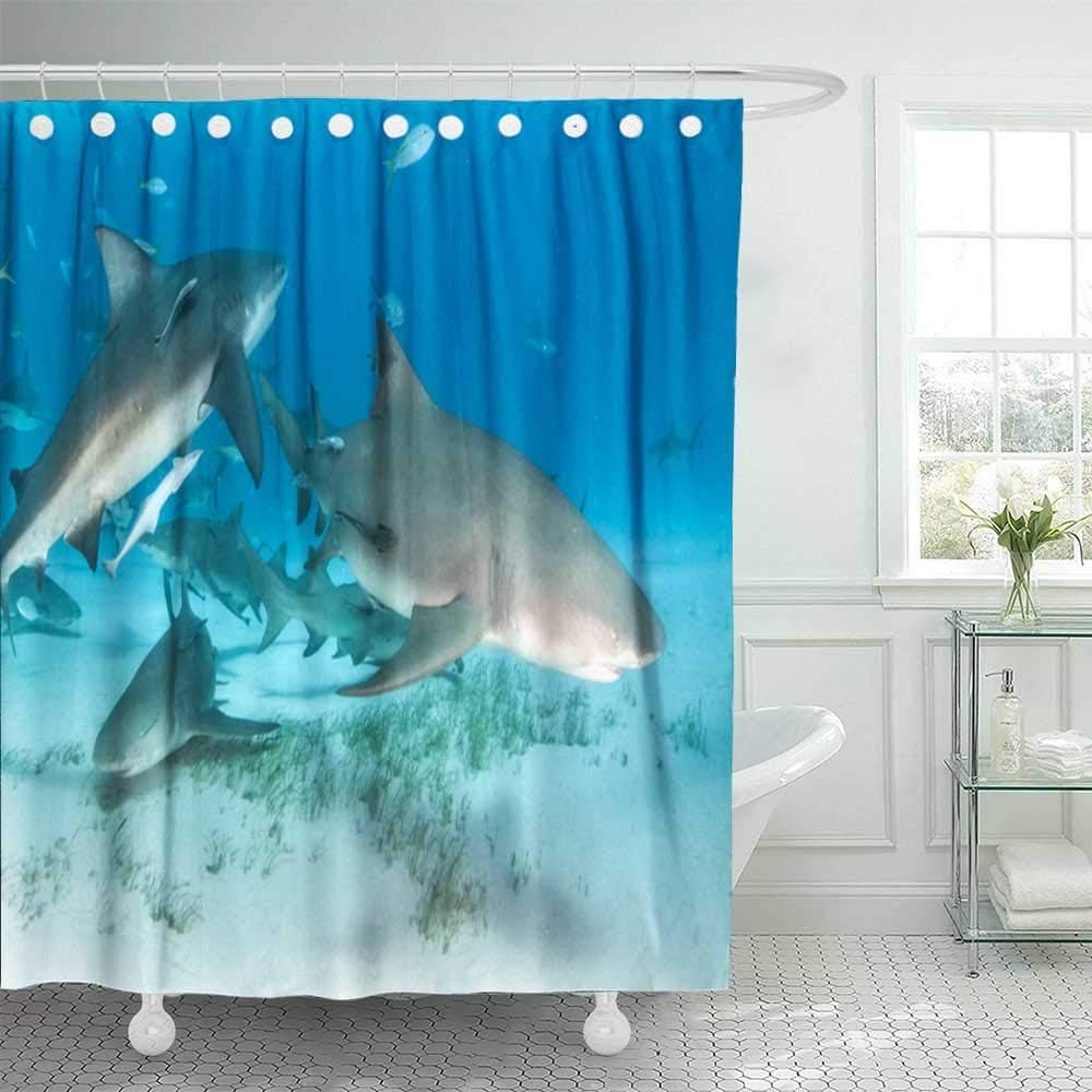 Douecish 72X78 Shower Curtain, Shower Curtain Picture Shows Reef Sharks and Lemon The at Bahamas Cool Shower Curtain with Hooks Waterproof Eco-Friendly Long Shower Curtain for Bathroom