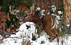 Review Image by Kenneth R Eskew Kenneth R Eskew