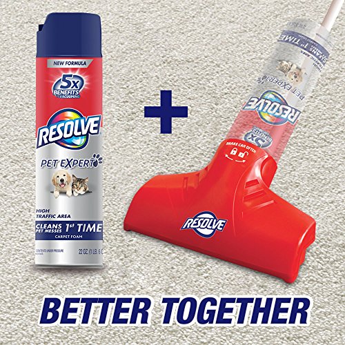 Resolve Pet Expert Stain and Odor Remover , 22 Ounces Pricepulse