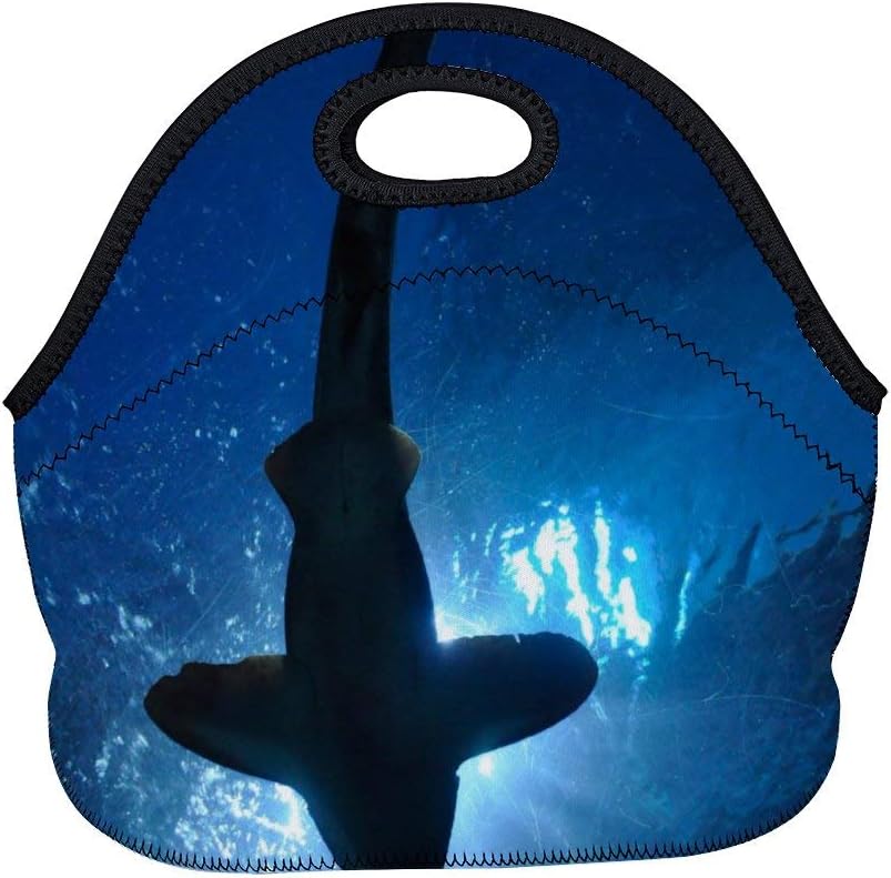 Neoprene Lunch Bag Fish Hammerhead Shark Aquarium Insulated Picnic Tote Boxes Backpack for Women Men Kids Basic Style with Zipper