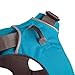 RUFFWEAR - Front Range All-Day Adventure Harness for Dogs, Pacific Blue, Large/X-Large