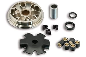 Malossi Performance Variator Multivar for Honda Ruckus, Metropolitan, Dio Clean 4 You, Zoomer 50cc 5111852