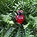 Home-X - Soil Moisture Meter in Ladybug Design, Indoor & Outdoor Plant Care Soil Tester is a Must Have for Home & Garden Needs, Make Sure Your Plants are Receiving the Proper Amount of Water