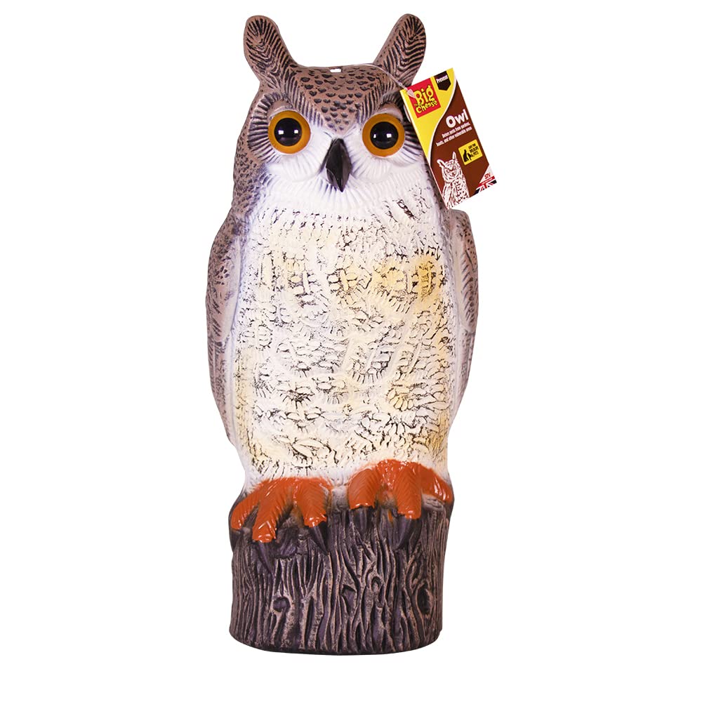 The Big Cheese Long Eared Owl Realistic Decoy Deterrent, Scares Birds from Gardens and Buildings