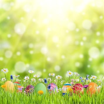 Amazon Com Yeele 5x5ft Spring Photography Background Easter