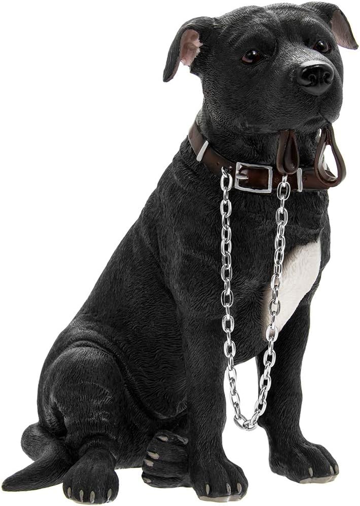 single dose cat vaccines