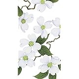 Caspari - Disposable Folded Bathroom Hand Towel, White Blossom Paper Pack of 15