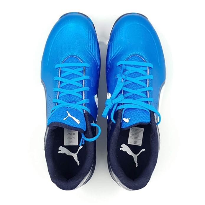 puma evospeed 19 turf shoes