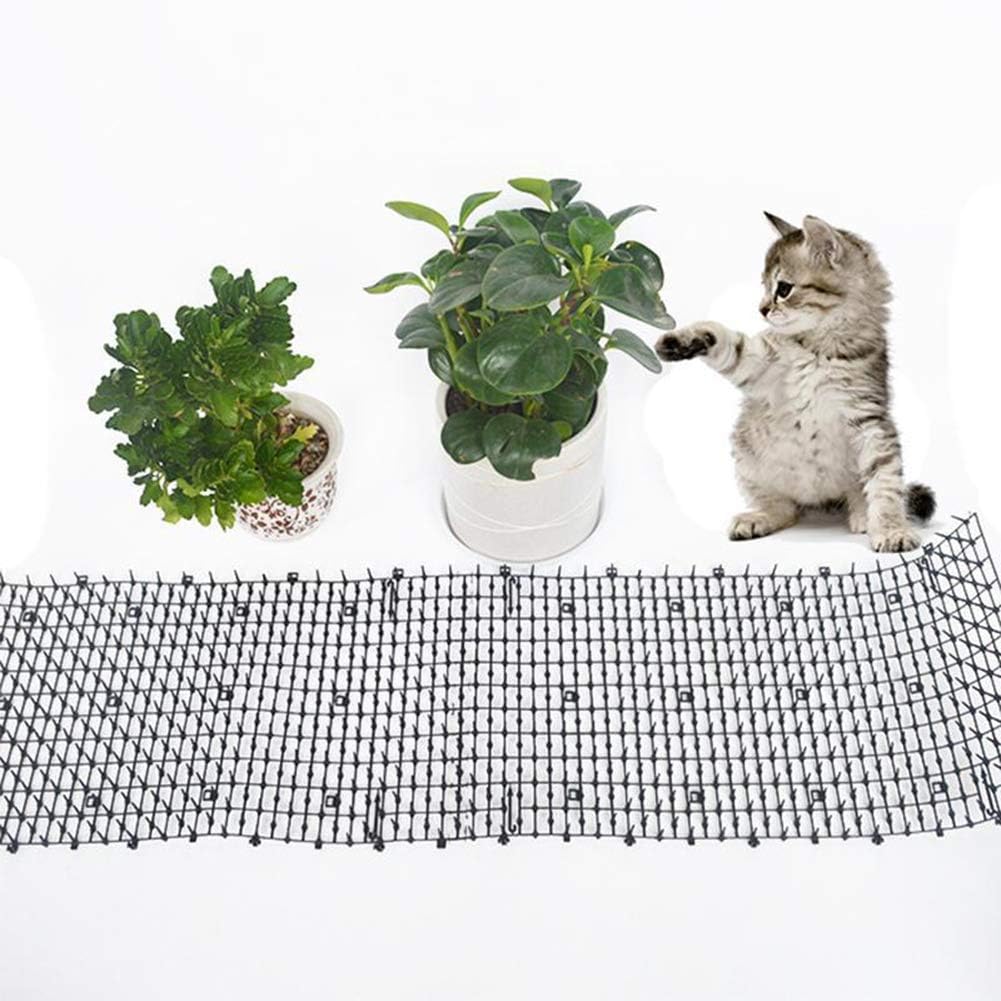 Pic Avec Epine Grille Jardin Anti Pigeons Repulsif Chats Chiens Naturel Et Ecologique Piques Pour Murs Clotures Barrieres Potagers Canape Tapis Anti Chat Avec Pointes Oiseaux Antiparasitaires Commerce Industrie Et Science Vieniphone Com