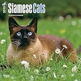 Siamese Cats 2015 Wall Calendar