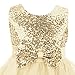 Acecharming Little Girls' Sequin Flower Tulle Tutu Dress, Sleeveless Bowknot Wedding Party Ball Gown(Updated Version), Golden, 5-6 Years