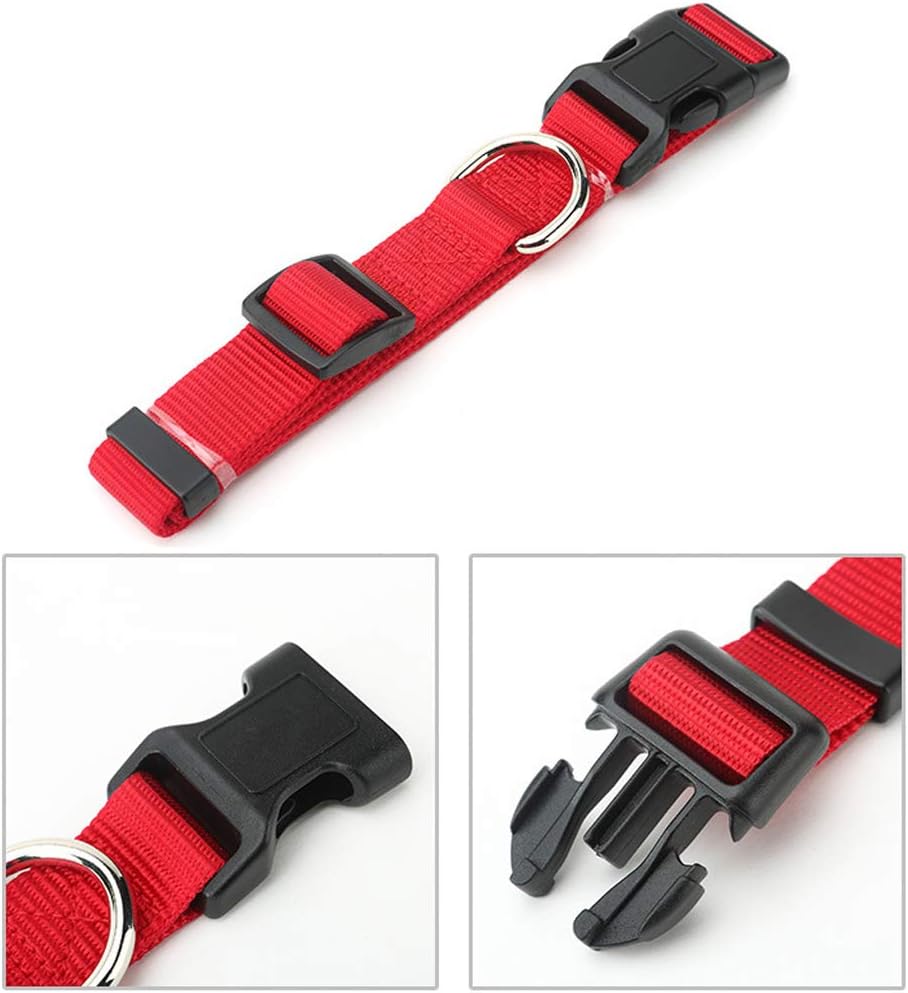 AEDILYS Adjustable Nylon Dog Collar Classic Solid Colors for Small Sized Dogs Neck, Multicolor: Sports & Outdoors