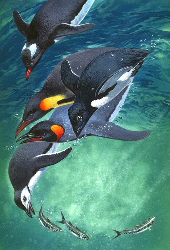 Amazon.com: for Garage Home Garden Store Bar café 12x16Inch,Penguins in Chase Sign,Wall Signs ...