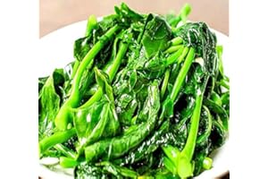 MYSEEDS.CO - BIG PACK SEEDS Big Pack - (1,500) Chinese Broccoli, Kailan GAI LAN Seeds - Used in Cantonese Cuisine - Non-GMO Seeds by MySeeds.Co (Big Pack - Kai LAN)