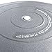 POVUMGA Exercise Ball Heavy Duty Anti-Burst Fitness-Birthing-Stability-Core-Pilates-Gym Balls for Pregnancy, Balance Ball for Desk Chair 55/65/75/cm with Hand Pump (Silver, 65cm)
