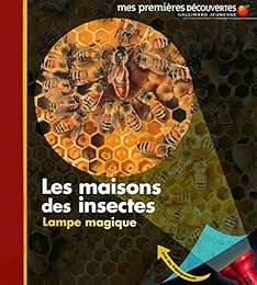 Les  maisons des insectes
