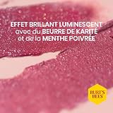 Burt's Bees Gift Set Lip Shimmers Peony Rhubarb Fig 3x2.6g 11.05g view 8
