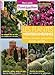 Les plantes méditerranéennes - Arbres, arbustes, grimpantes by 