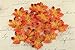 Senswalan Artificial Maple Leaves,500 pcs 10 Color Mixed Rich Fall Colored Leaves for Weddings Decorations or Christmas Party