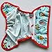 One Size Cloth Diaper Cover Snap with Double Gusset (Hot Air Balloon)