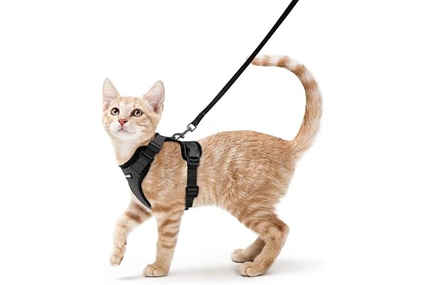 rabbitgoo Cat Harness and Leash for Walking, Escape Proof Soft Adjustable Vest Harnesses for Small Medium Cats, Easy Control