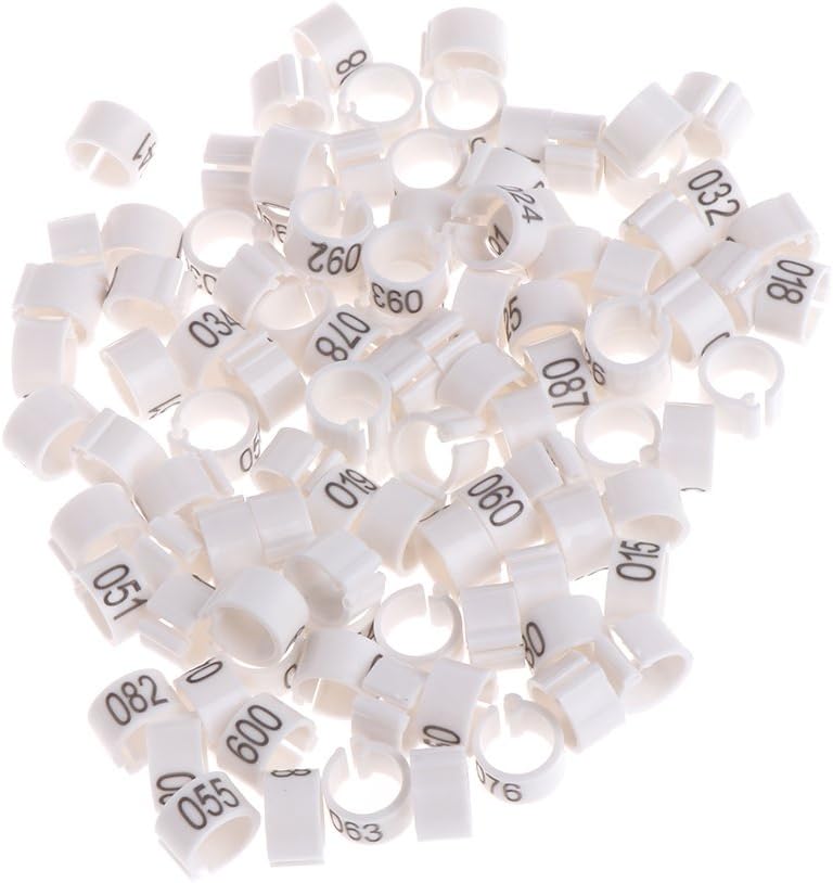 Hardli 100 Pcs Identify Ring Carrier, Bird Parakeet Parrot Pigeon Cockatiel Owl Training Leg Bands, 8mm