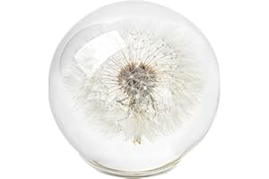 1st Heaven Dandelion Paperweight in Crystal – Real Preserved Dandelion, Symbol of Hope, Luck, or New Beginnings – Elegant Gift with Gift Box & Card (Dandelion, 3.1 in)