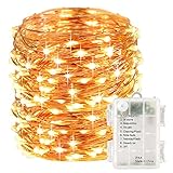LightsEtc 100 LED String Lights 33ft Warm White Decorative Copper Wire Dimmable Fairy Lights