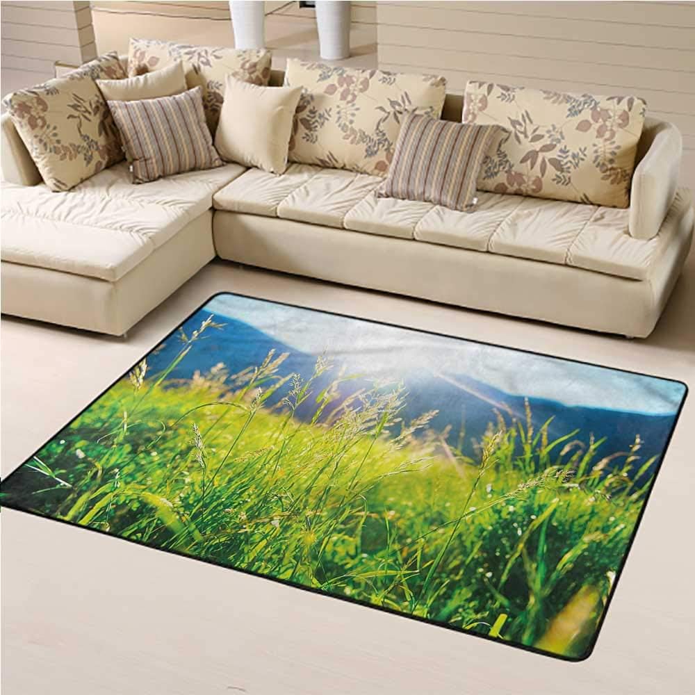 Printed Area Rug Nature for Indoor and Outdoor Pastoral Field Alpine Meadow 6' x 9' Rectangle