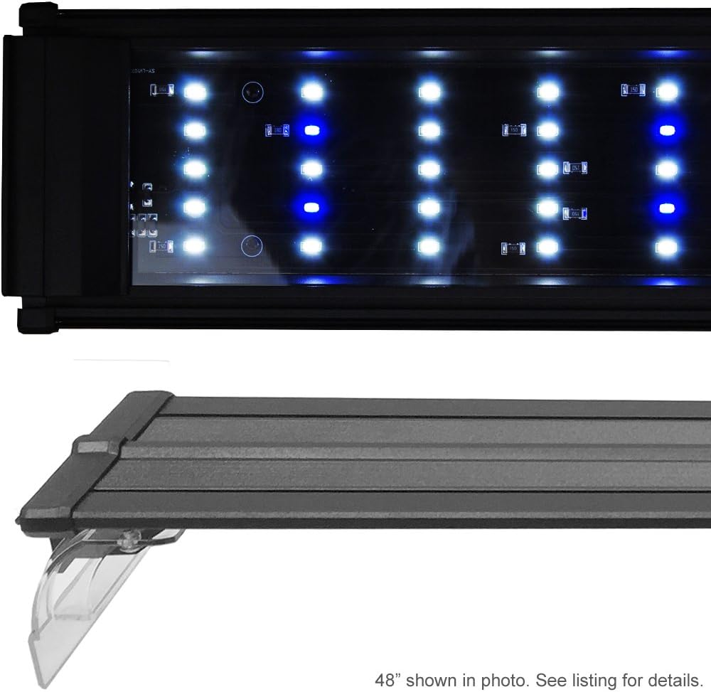 Best Current Led Aquarium Lighting 48 – 60