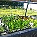 Bootstrap Farmer 72 Cell Seed Starter Tray - 5 Pack - Extra Strength 1020 Starting Trays for Planting Seedlings, Propagation, Germination Plugs